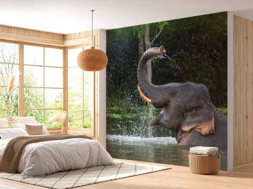 Elephant in water