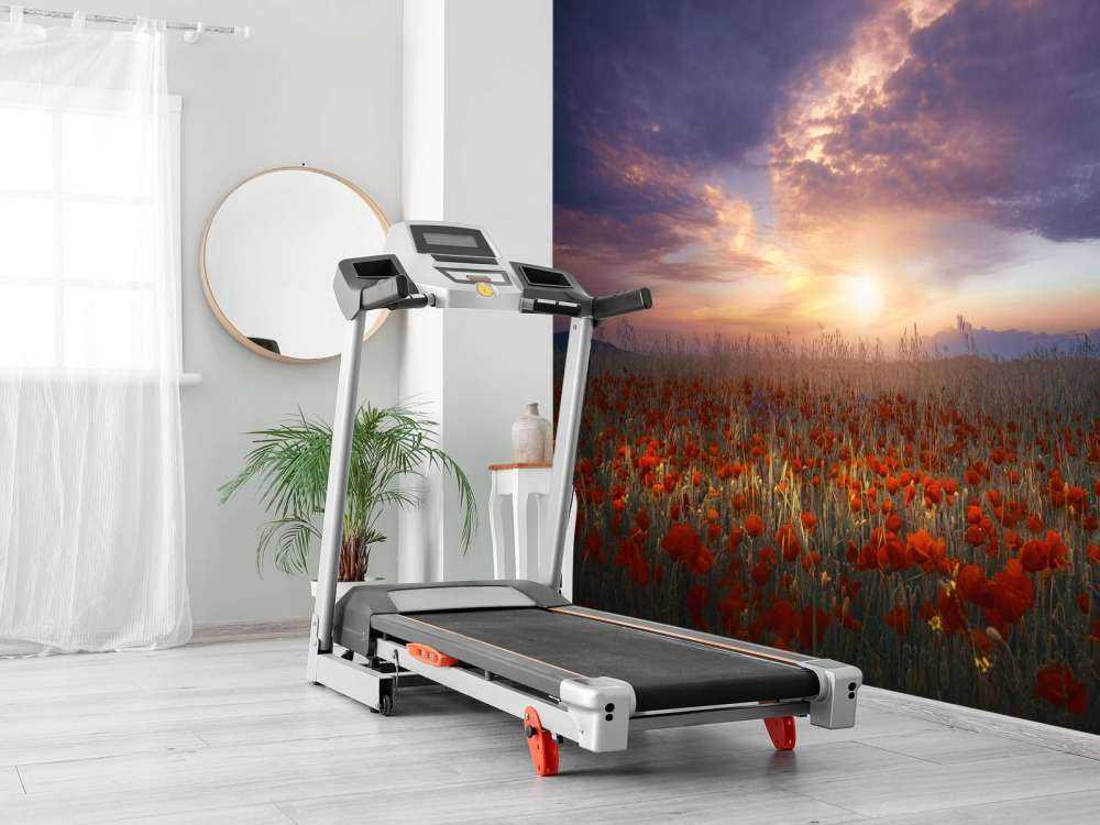 Between color and light