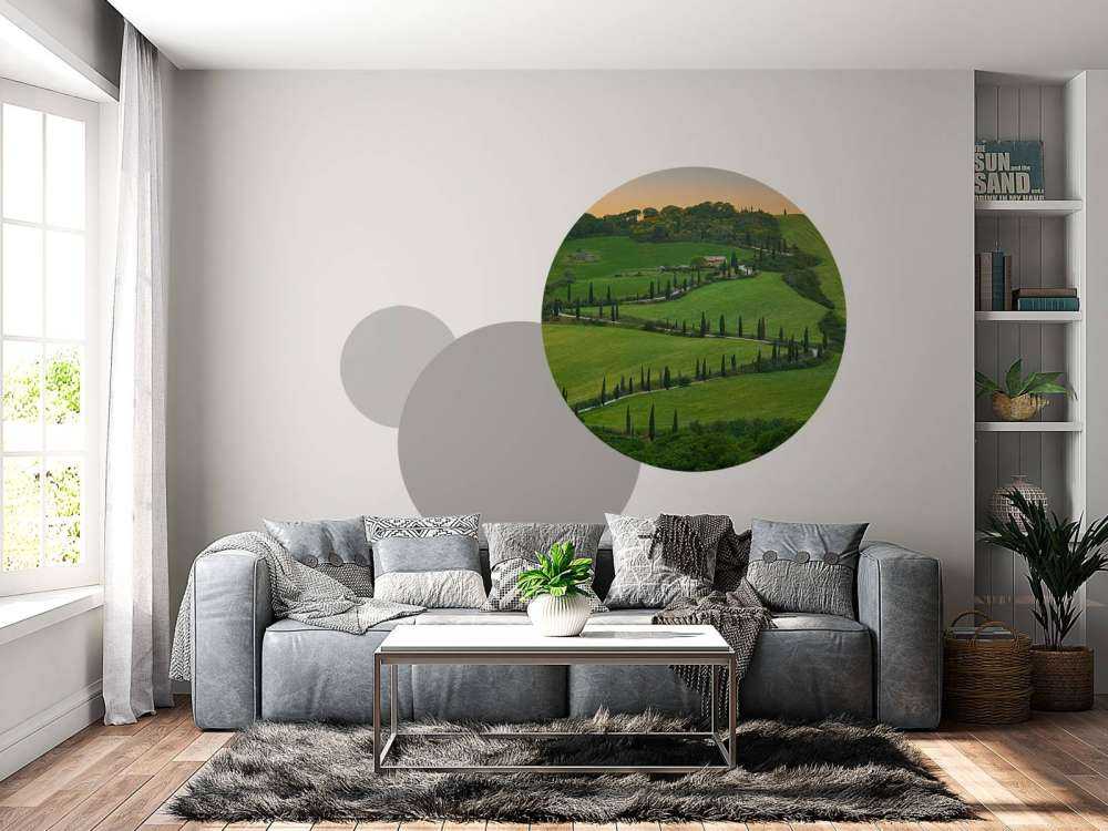 Winding road with cypresses