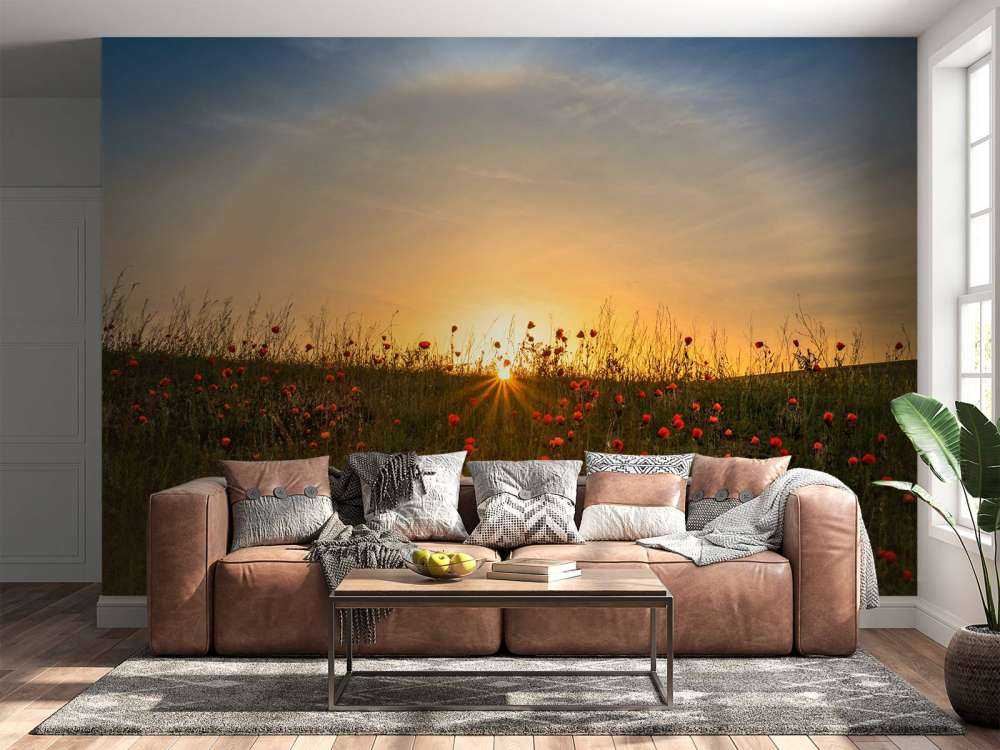 Red poppies and sunrise