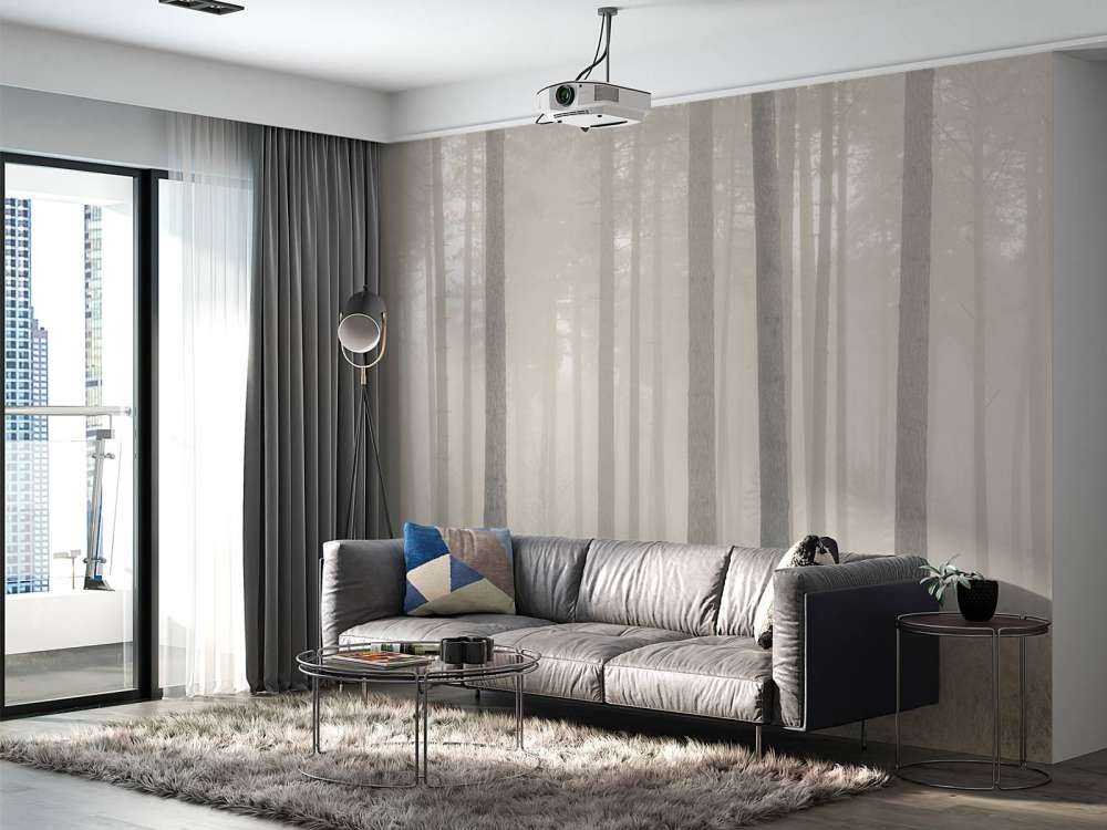 Misty mysterious forest