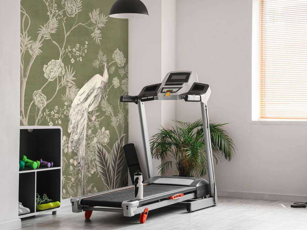 Peacock Rest in the Green Garden