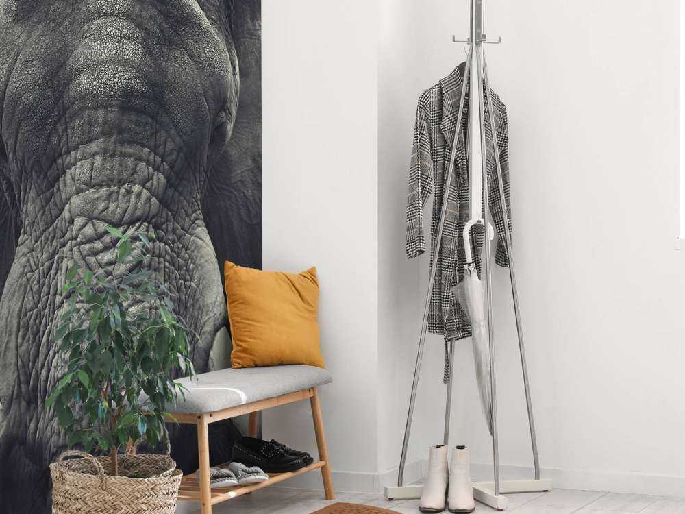 Close-up of an elephant