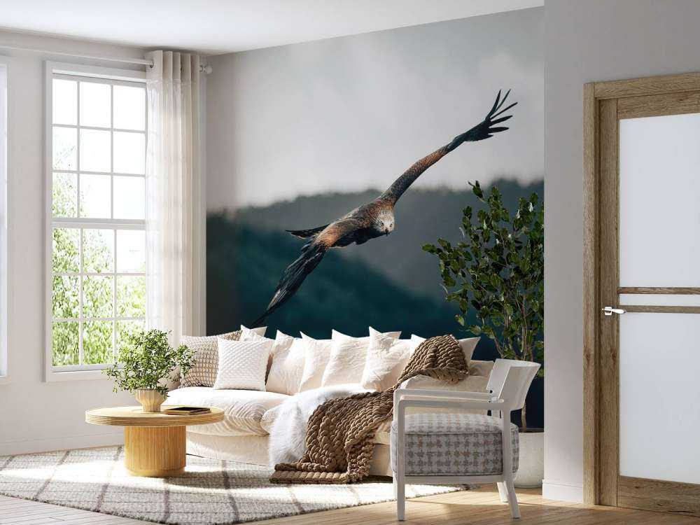 Red kite