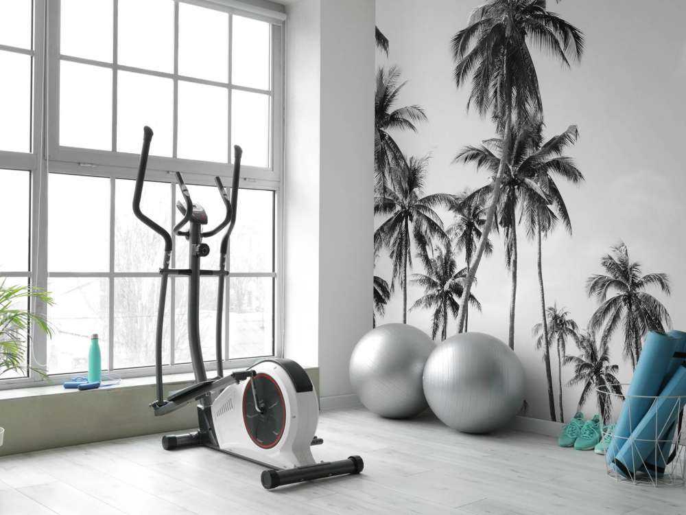 Palm trees in black and white