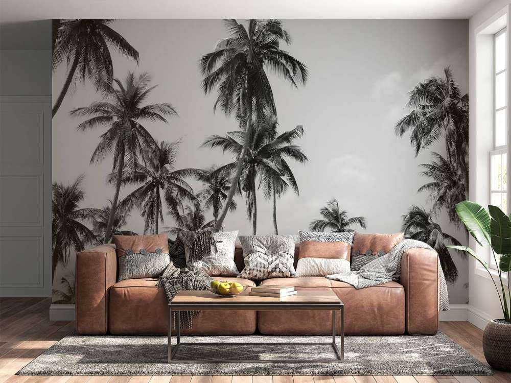 Palm trees in black and white