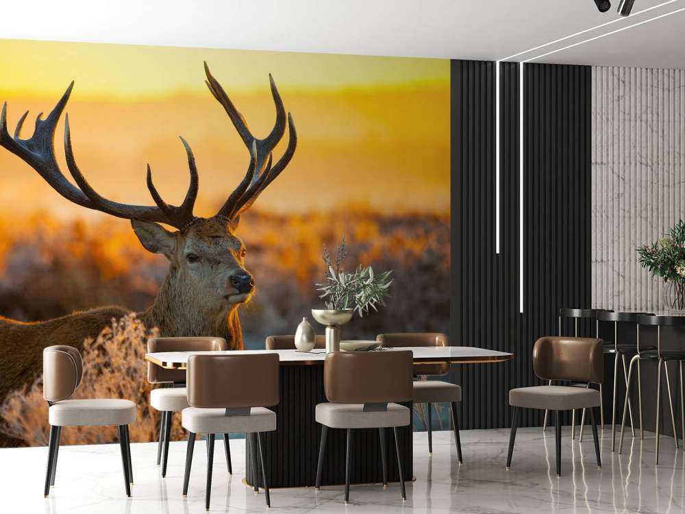 Deer in nature reserve