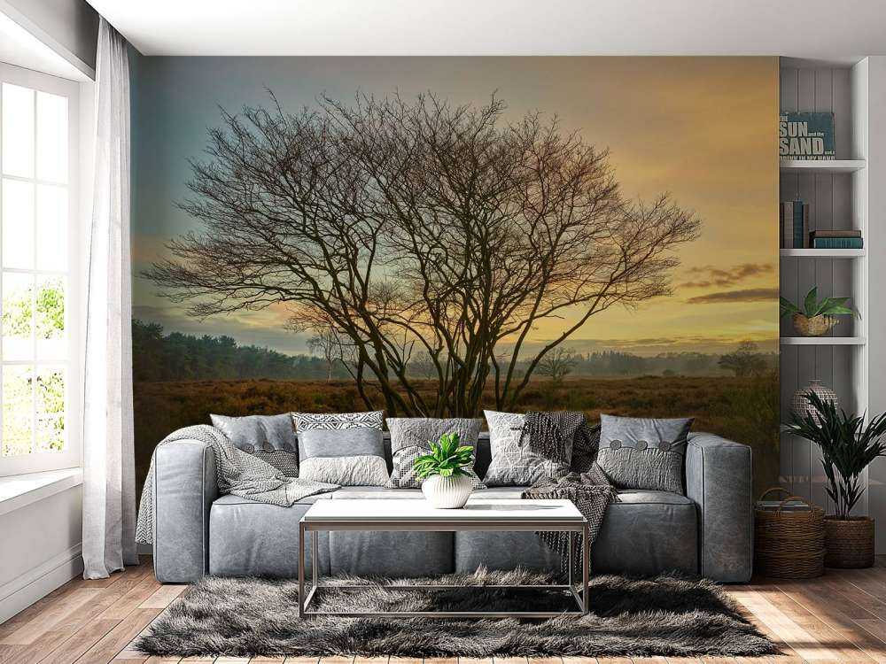 Sunrise on the heath