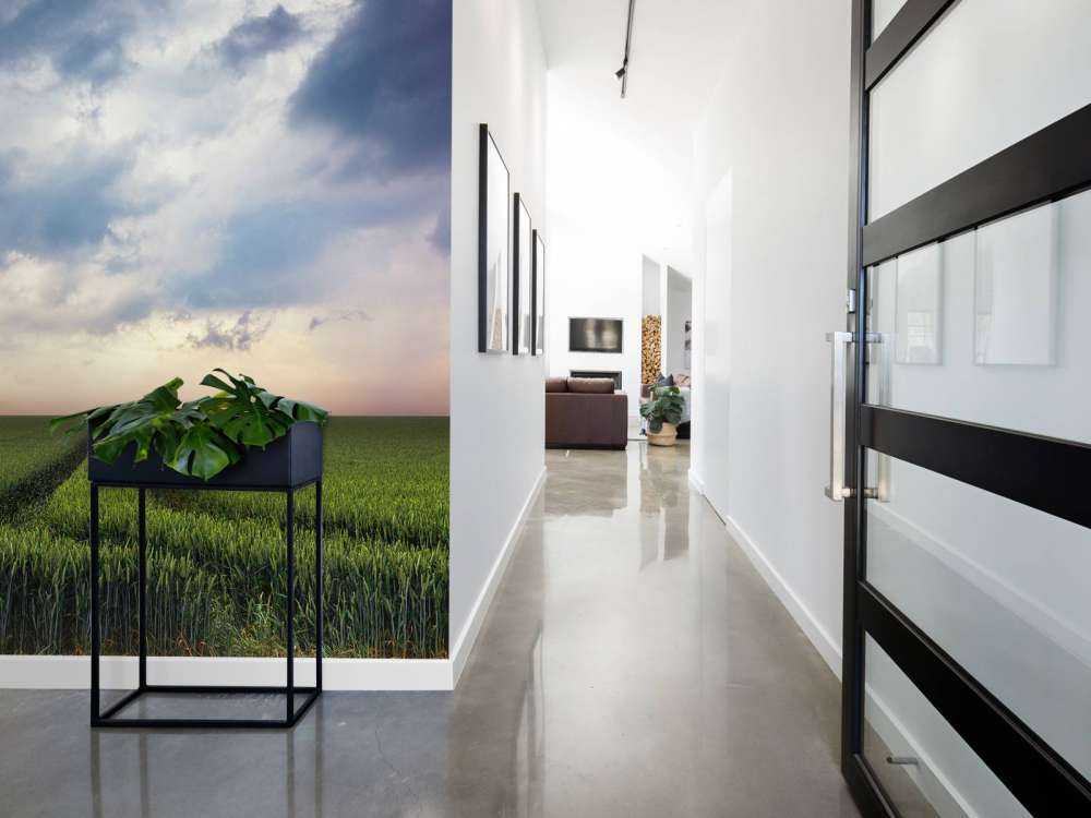 Tracks in wheat field