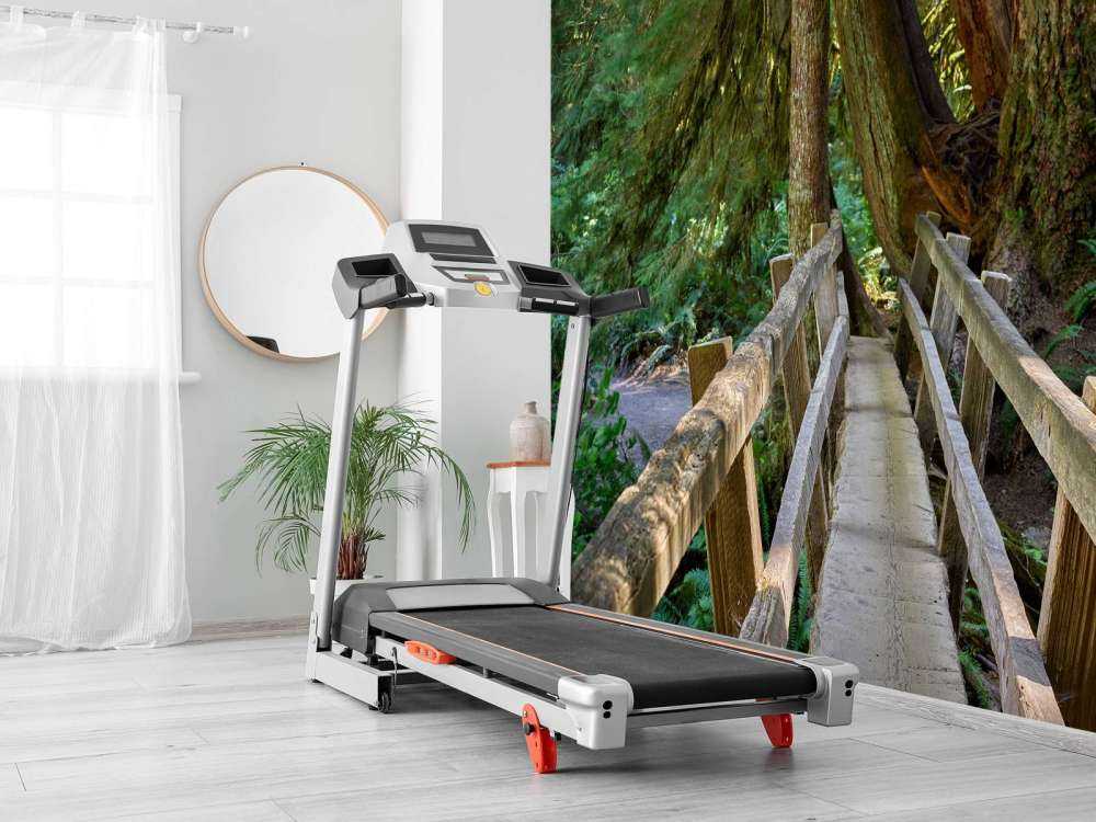 Wooden bridge through the forest 