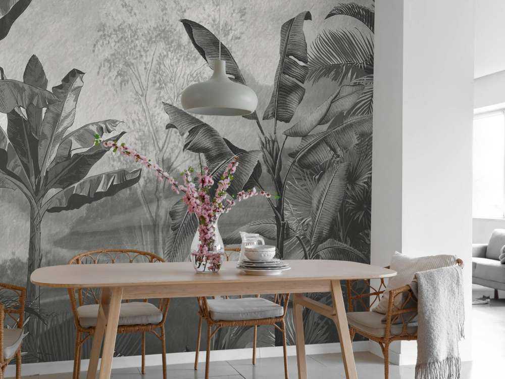 Banana trees in black and white