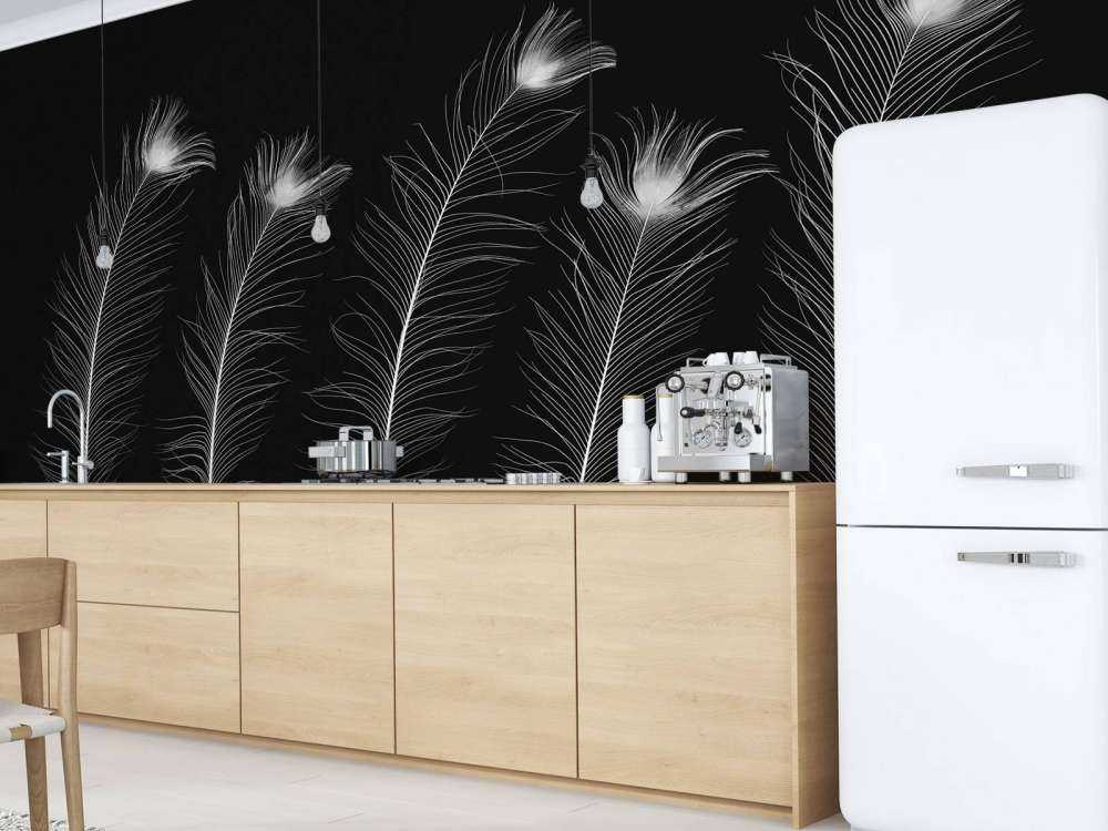 White peacock feathers