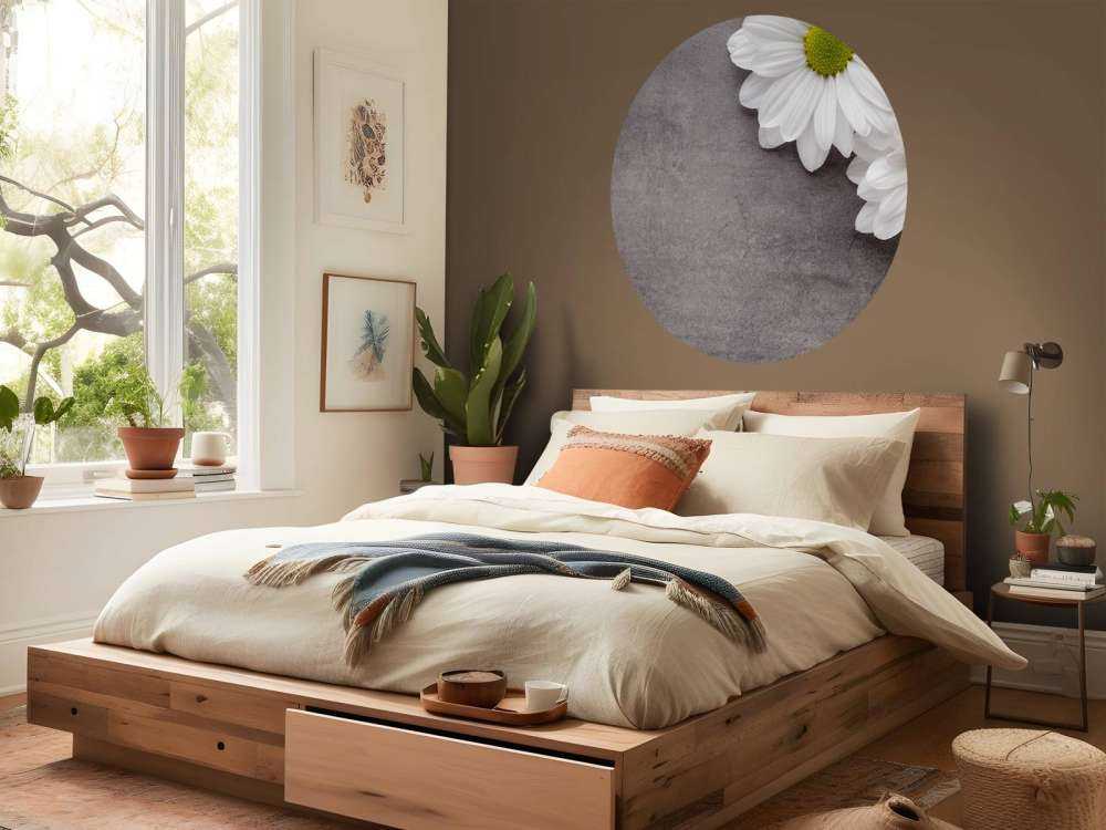 Daisies and concrete