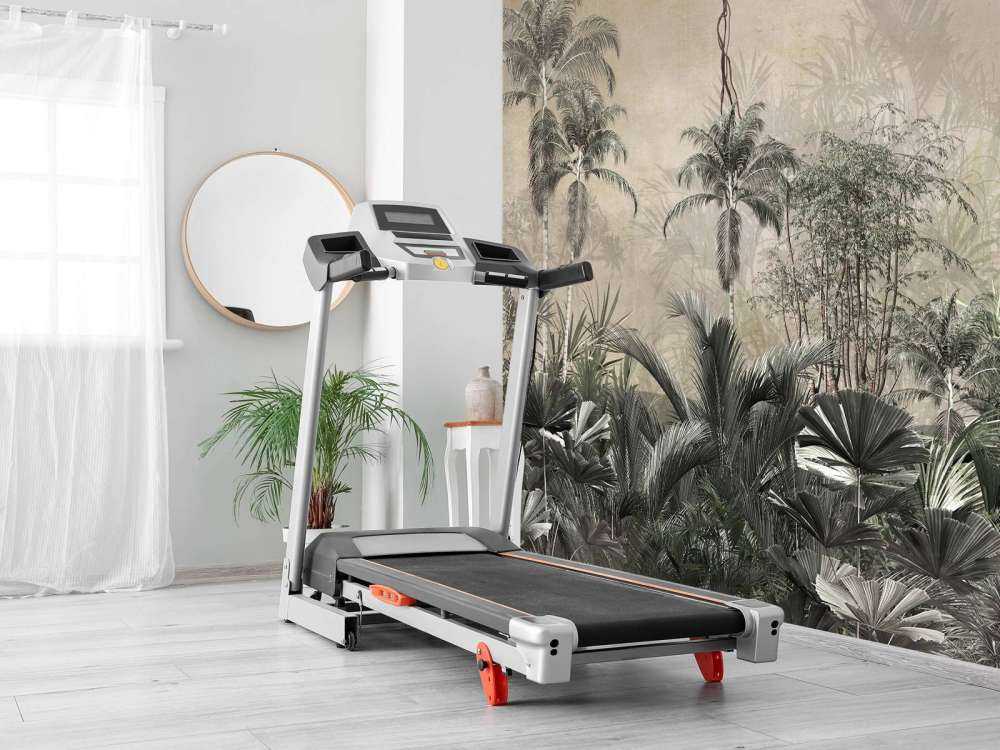 Tropical forest in mist