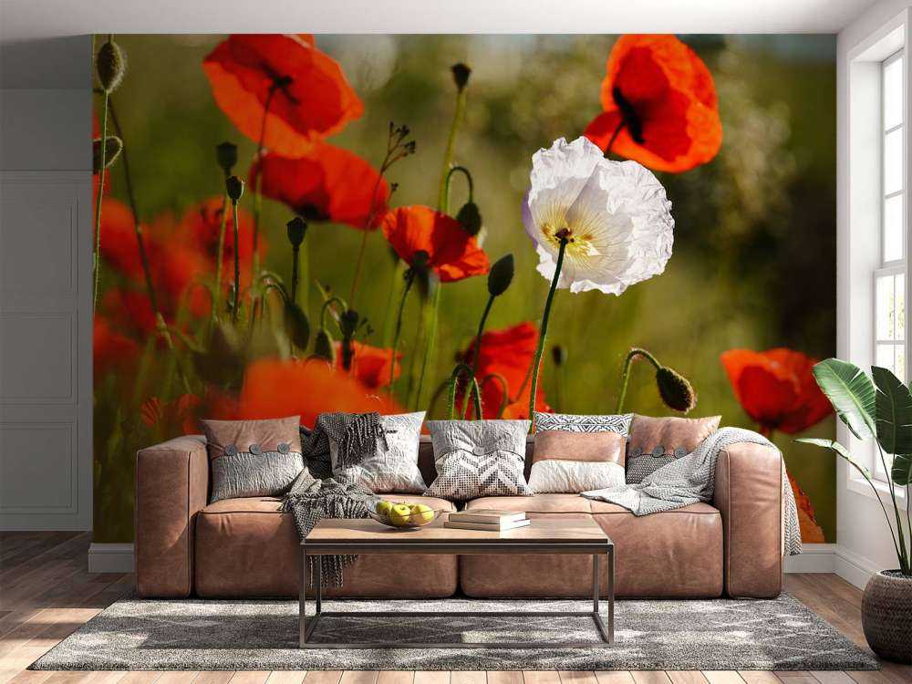 Group of poppies