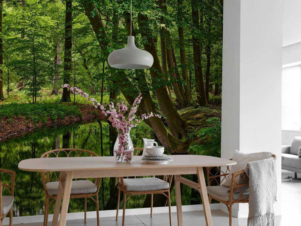 Bent trees by the water