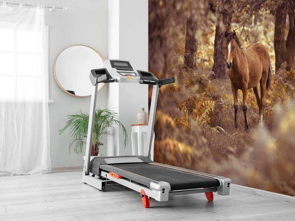 Horse in the wilderness