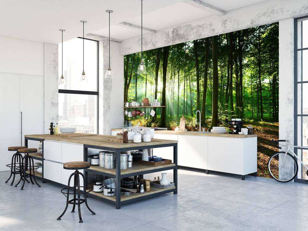 A morning in the forest