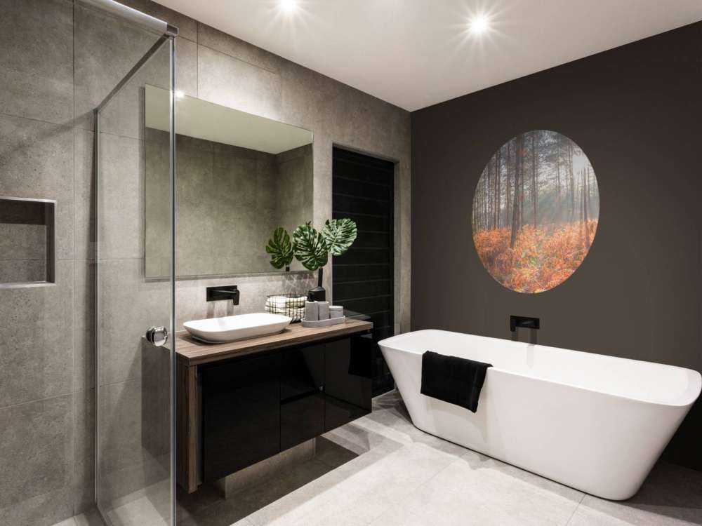 Sun rays through the forest