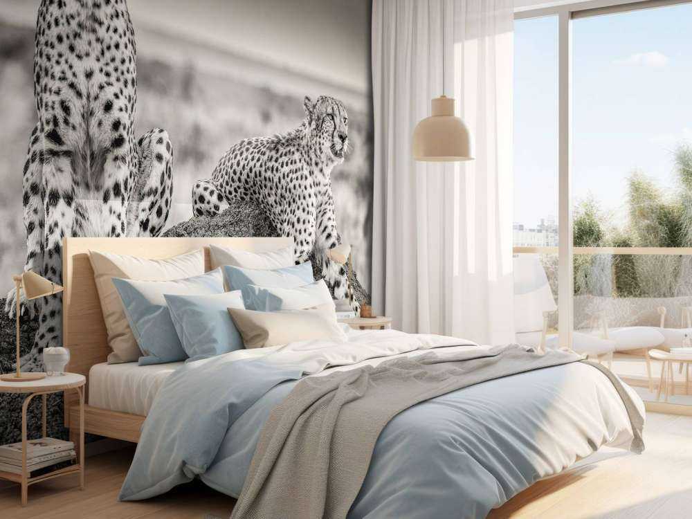 Two Cheetahs watching out