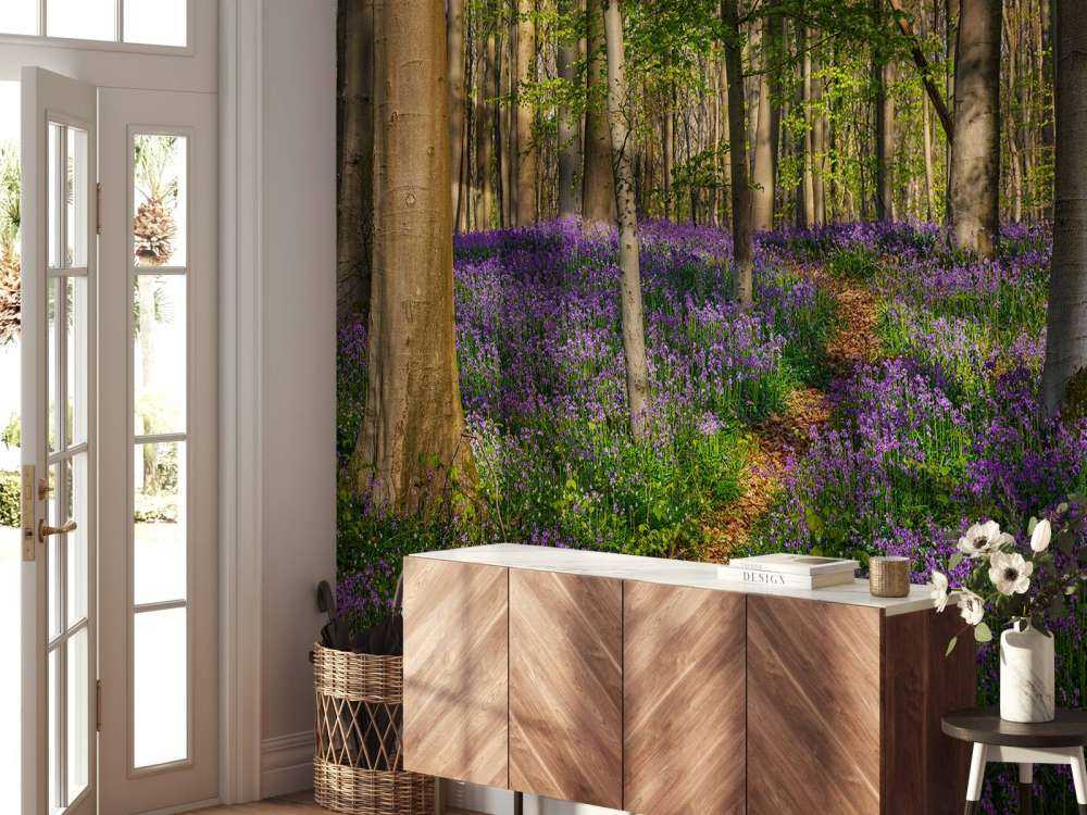 Path through a forest with hyacinths