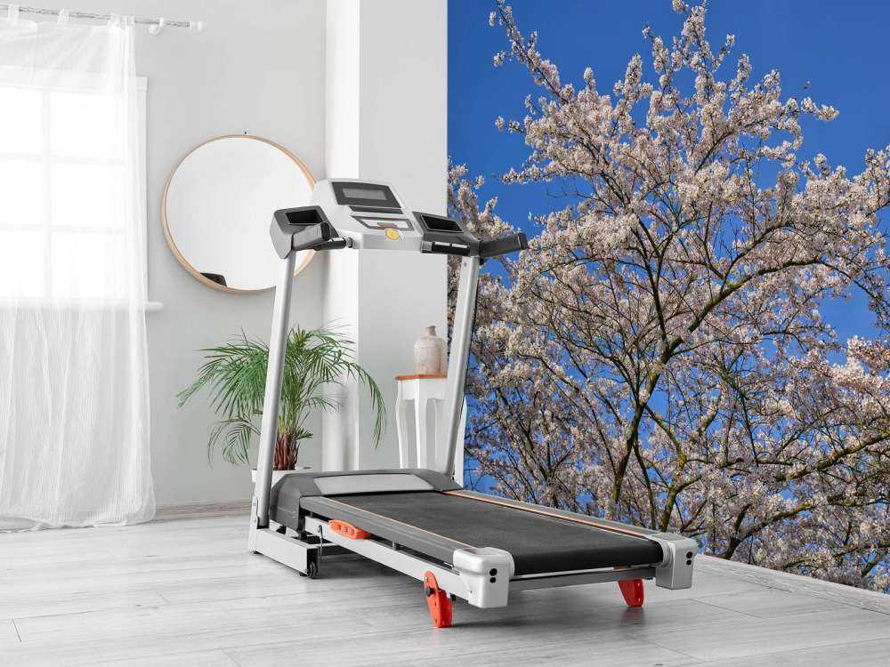 Blossom with blue sky