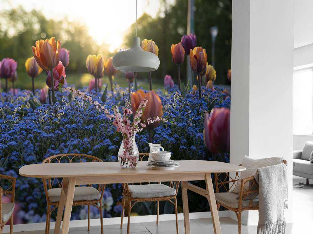 Cheerful tulip field