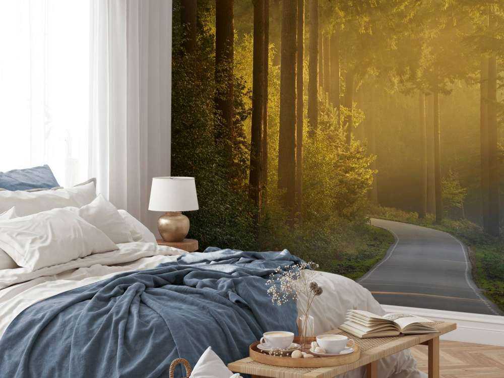 Sunrise on the way through the forest