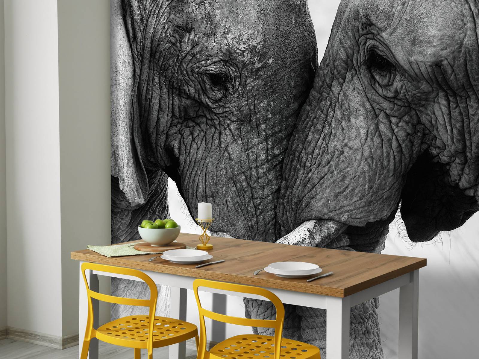 Photo wallpaper elephants
