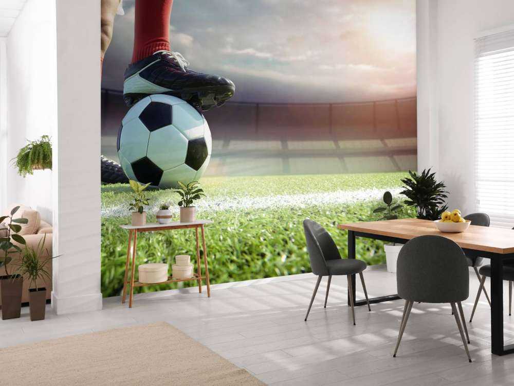 Stadium with soccer player