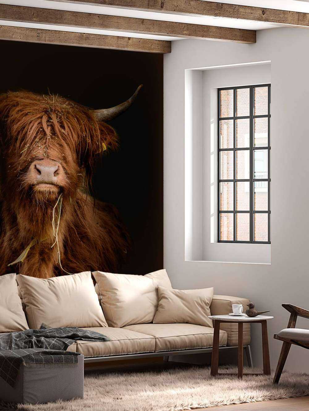 Portrait&#x20;Scottish&#x20;Highlander