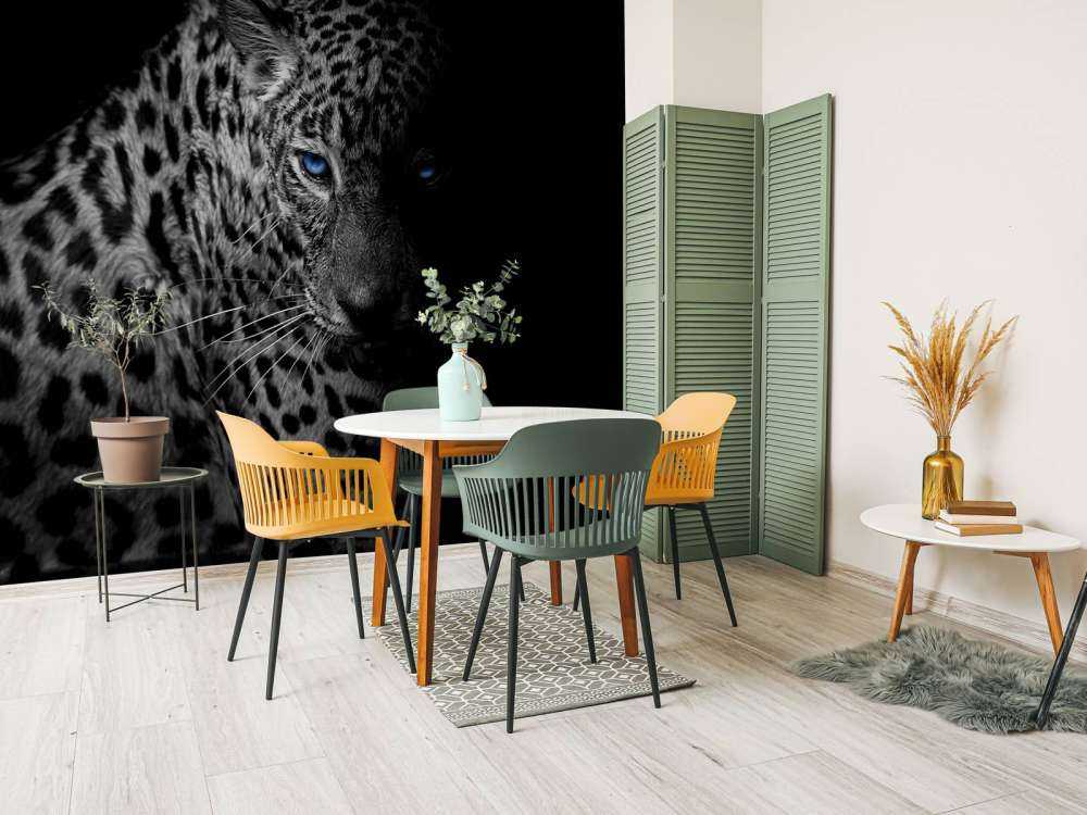 Leopard on black background