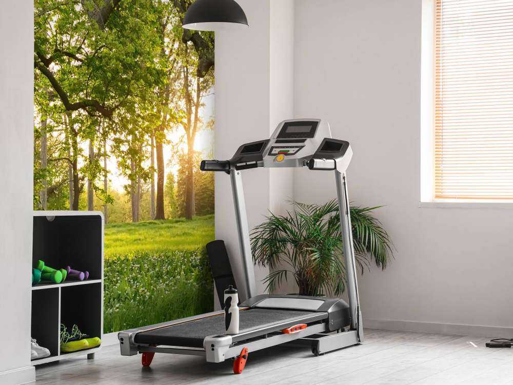 Open space in the woods