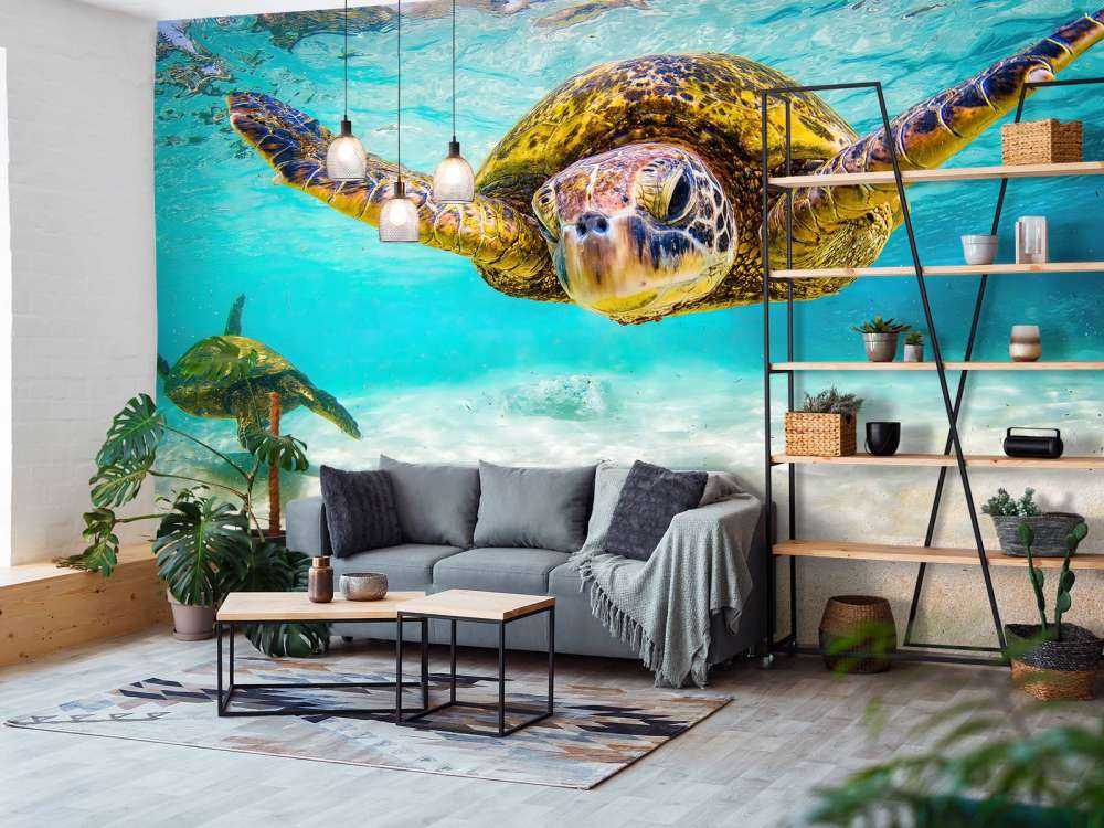 Sea turtle in the ocean