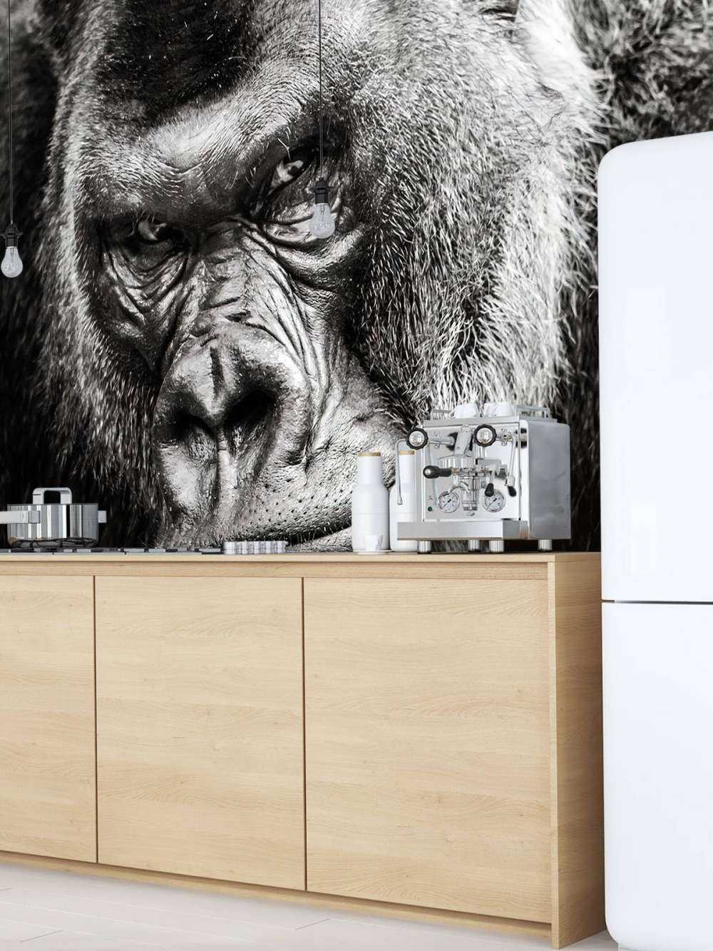 Close-up picture of a gorilla