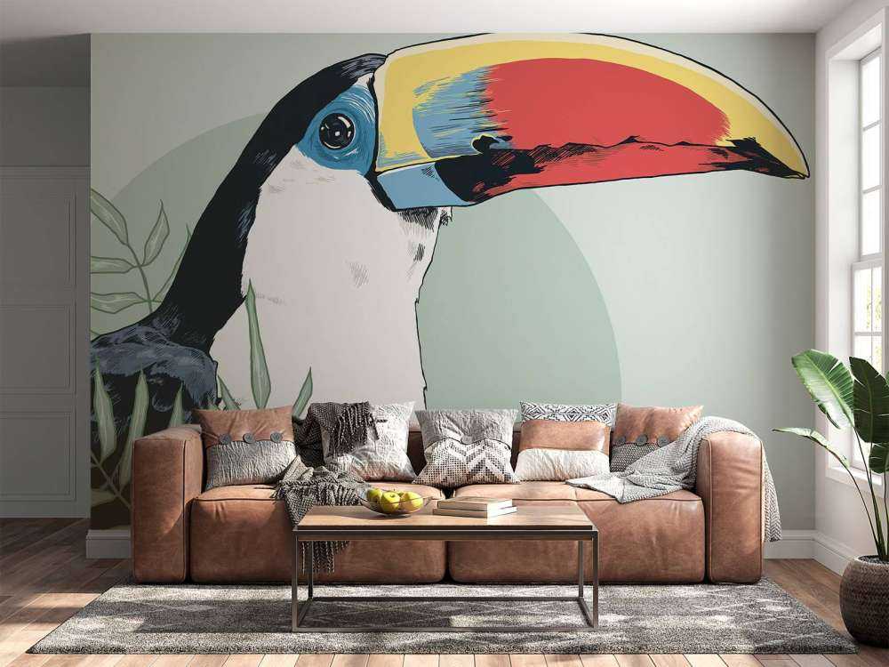 Coloured&#x20;toucan