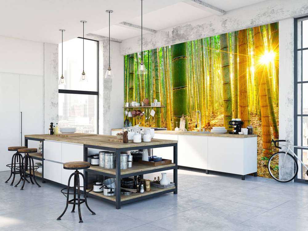 Bamboo forest at sunrise