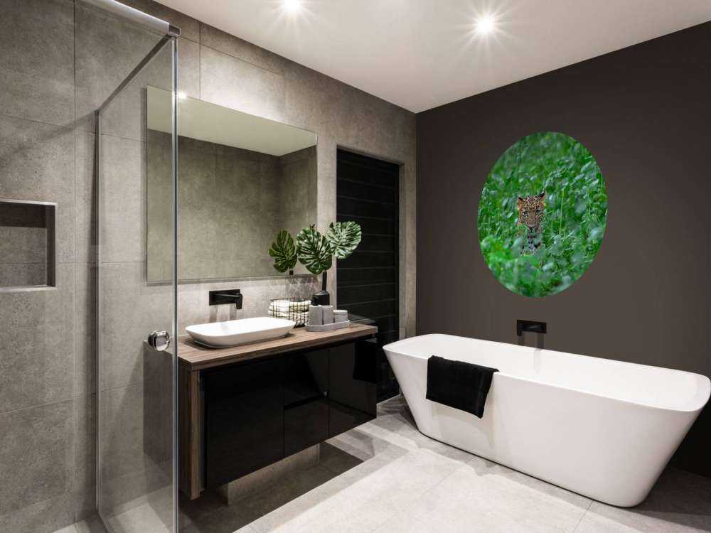 Leopard in the forest