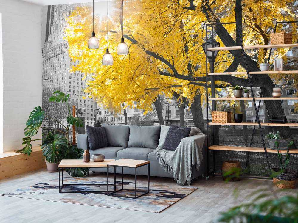 A path through Central Park