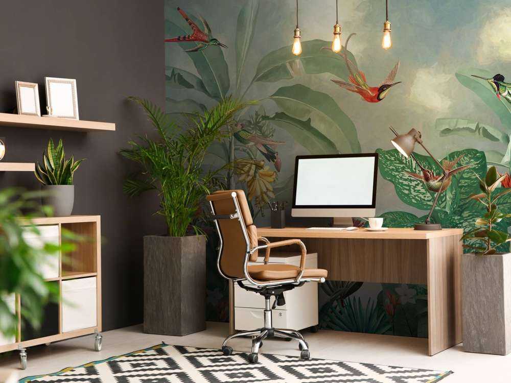 Hummingbird Paradise