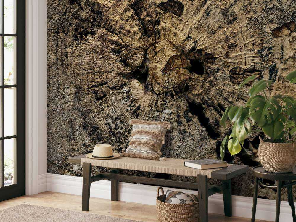 Tree stump 