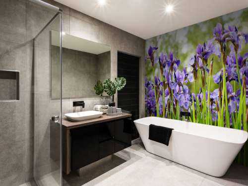 Irises 
