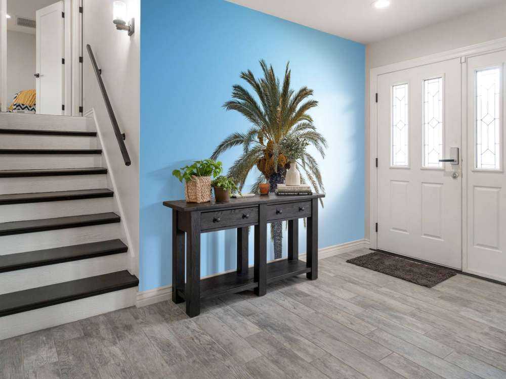 Blauw lucht en palmboom