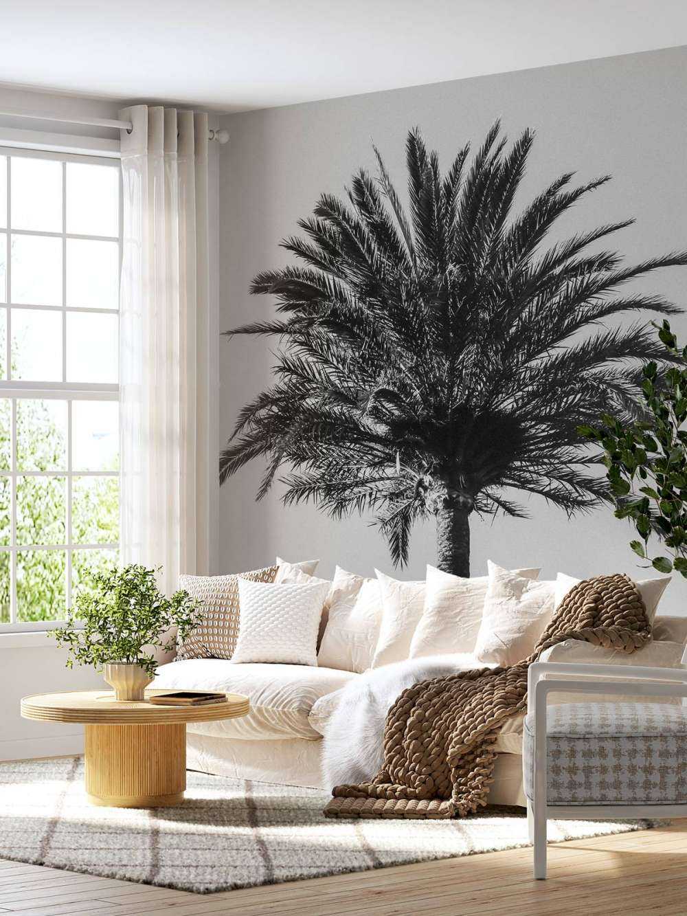 Black and White palm