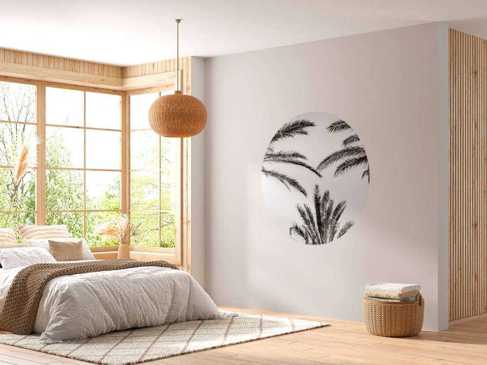 Palmtrees in the sun