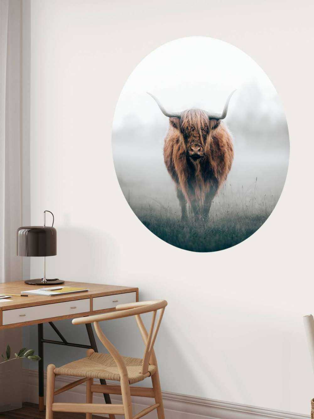 Scottish highlander in dense fog