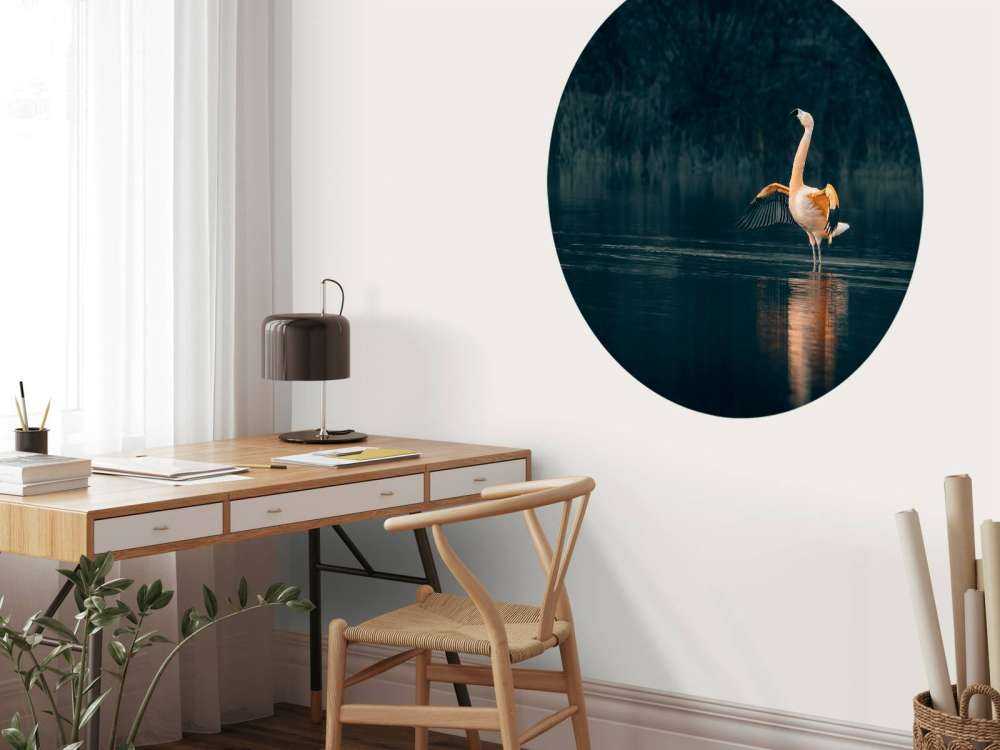 Flamingo in abandoned lake