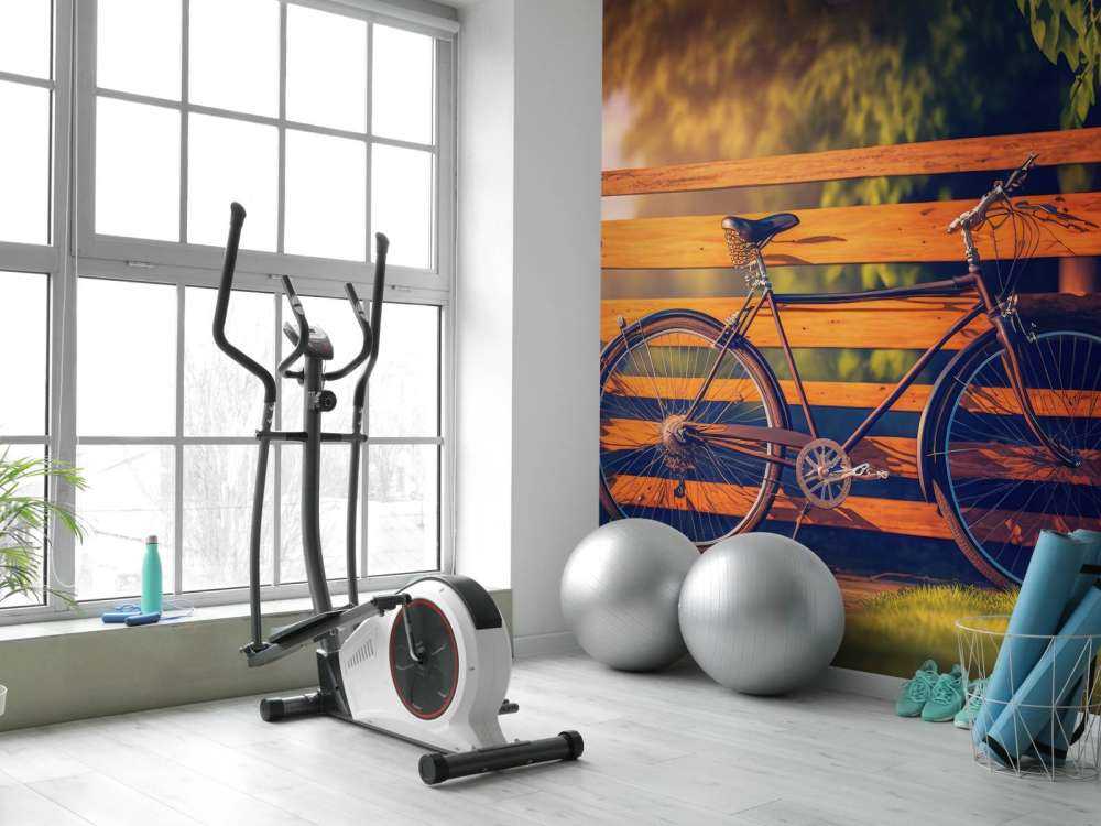 Bicycle at a wooden fence