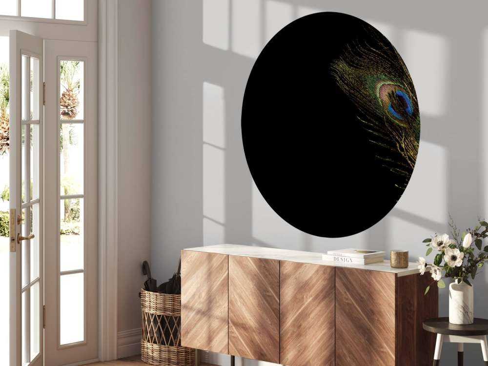 Colourful peacock feather