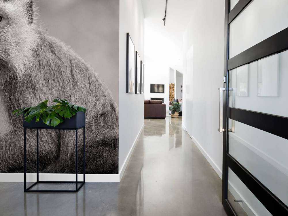 Schattig aapje in zwart-wit